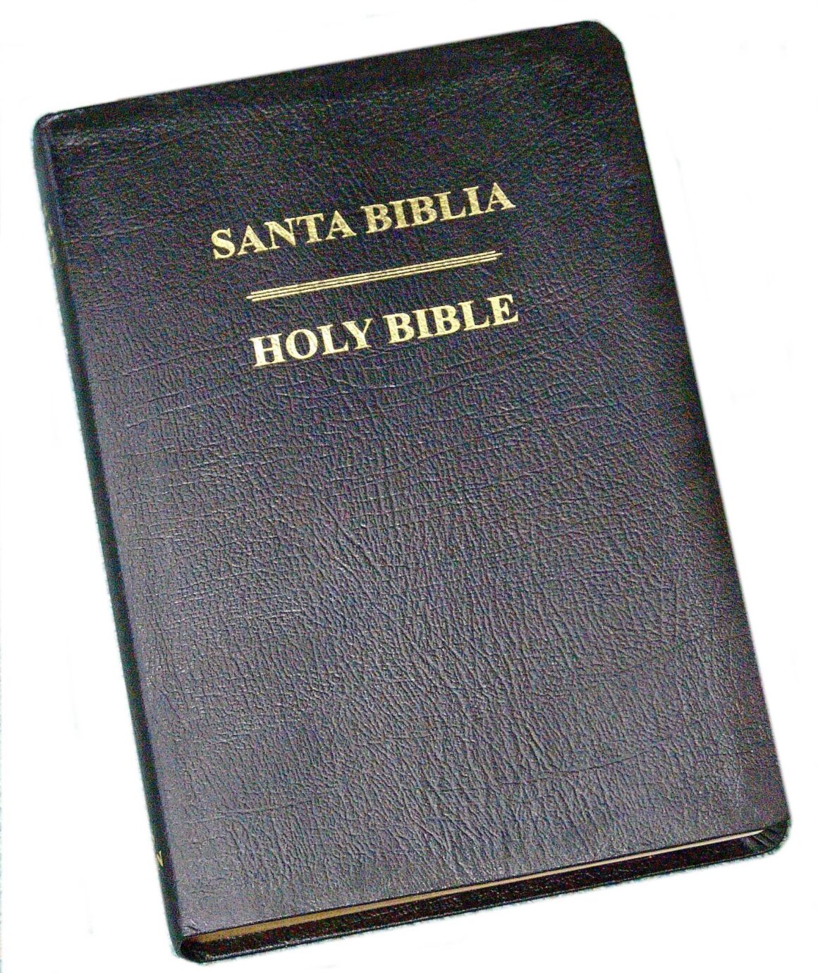 Bible – RVG Spanish/KJV English Parallel Bible Bonded Leather