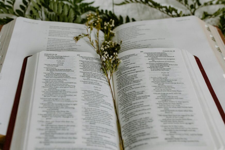 White flowers in an open Bible