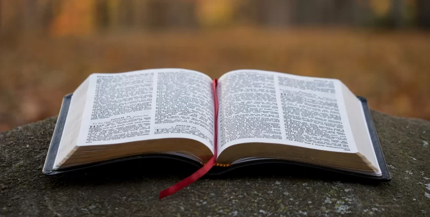 Bible open in woods