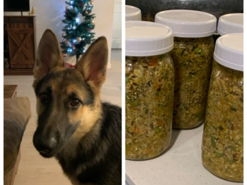 Dog Food, Healthy and Homemade